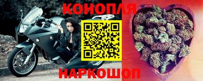 прущие грибы Нальчик