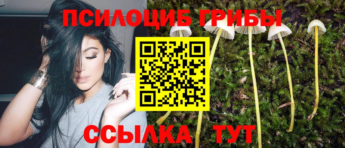 Псилоцибиновые грибы GOLDEN TEACHER  Вход с VPN  Алексин 