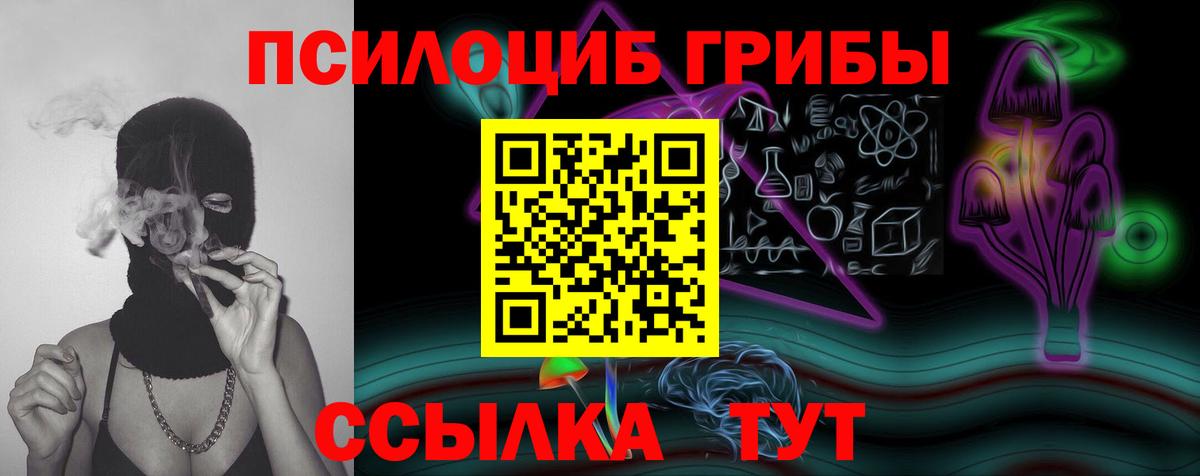 Галлюциногенные грибы Psilocybe Алексин